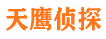 仲巴侦探公司